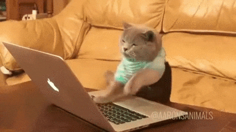 cat hardcode in computer